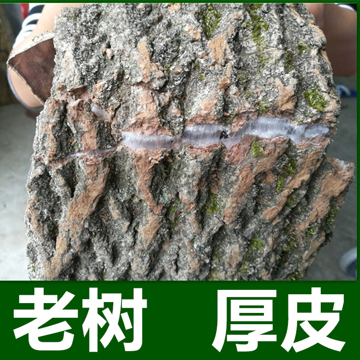 500 grams of old tree Chinese medicine Material Du Zhongpi Du Zhongchen Tea strong bone hand selected thick skin