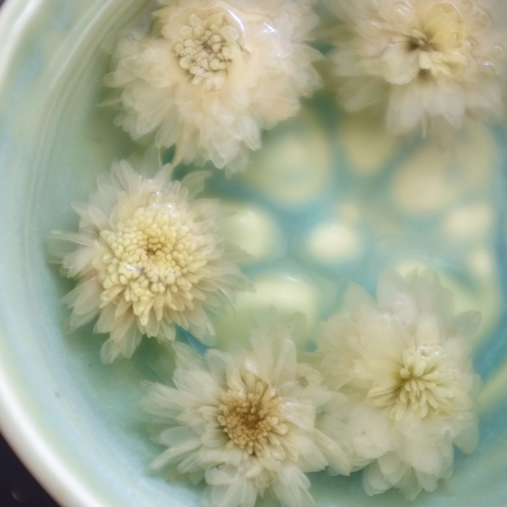 (New) Sweet tribute chrysanthemum Huangshan tribute chrysanthemum is sweet, sweet and not bitter, slightly yellow and sulfur-free