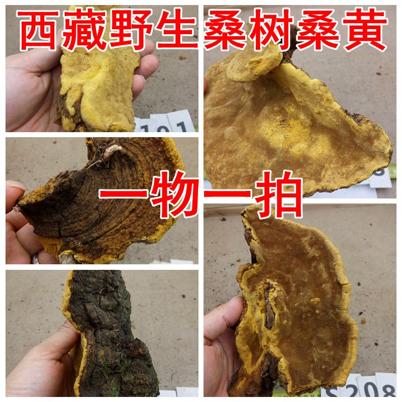 (Mulberry yellow look at the picture selection, don't shoot randomly) Tibetan wild mulberry mulberry, constantly updated please collect