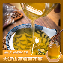 Daliang Mountain hundred nectar authentic soil honey original honey Sichuan wild honey crystal honey farmer pure natural linden honey