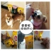 Thức ăn cho chó Baolu 1,8kg chó nhỏ và vừa dành cho chó trưởng thành thịt bò Teddy VIP gà hương vị Golden retriever phổ quát làm đẹp tóc thức ăn - Chó Staples