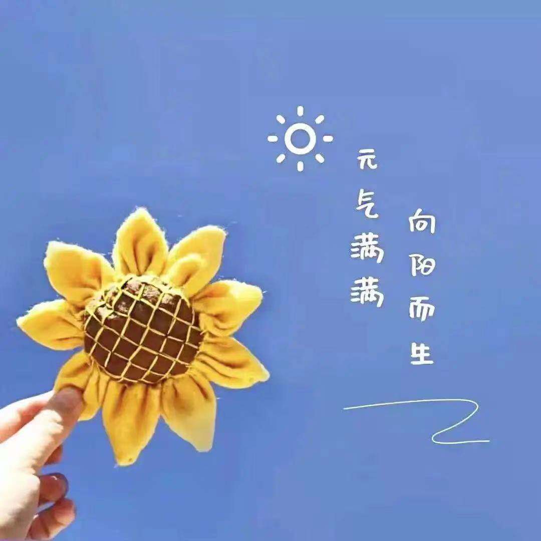蝶印飞花的店的LOGO