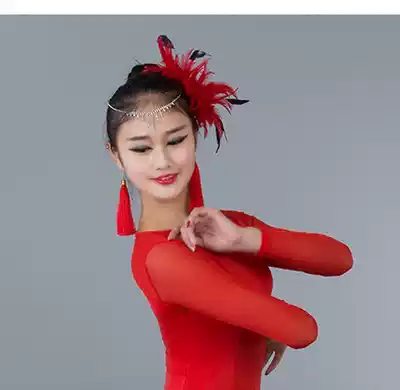 New Latin dance modern dance tassel earrings earrings long version simple European and American exaggerated ear refining female snow dance