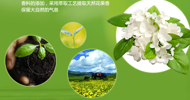 thuốc tẩy quần áo Green Po Ran Air Freshener Spray Khách sạn Phòng tắm khử mùi gia đình Máy xịt khử mùi Nước hoa Cà phê Lily White Tea - Trang chủ viên tẩy lồng máy giặt