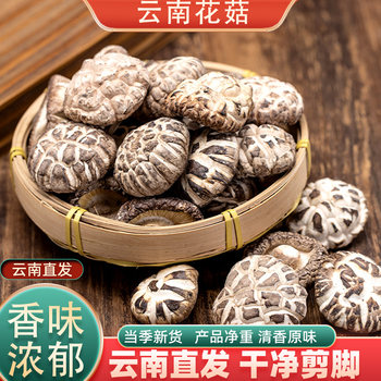 Seasonal Selection of Dried Linden Mushroom 500g, Fresh and Nutritious Shiitake Mushroom Ingredients, Bulk Specialty