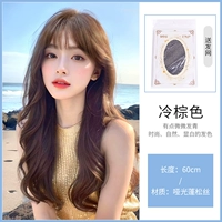 Кудрявая коричневая сетка для волос