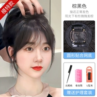 8D Face Bangs [коричневый черный]+набор наследия