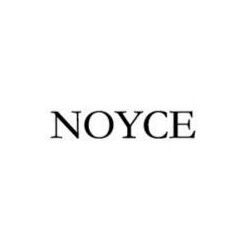 NOYCE森发