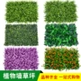 Mô phỏng cỏ nhựa cỏ mục vụ sàn trong nhà trồng cây xanh giả cỏ cao ban công trang trí sân cỏ mẫu giáo chăn - Hoa nhân tạo / Cây / Trái cây lan giả