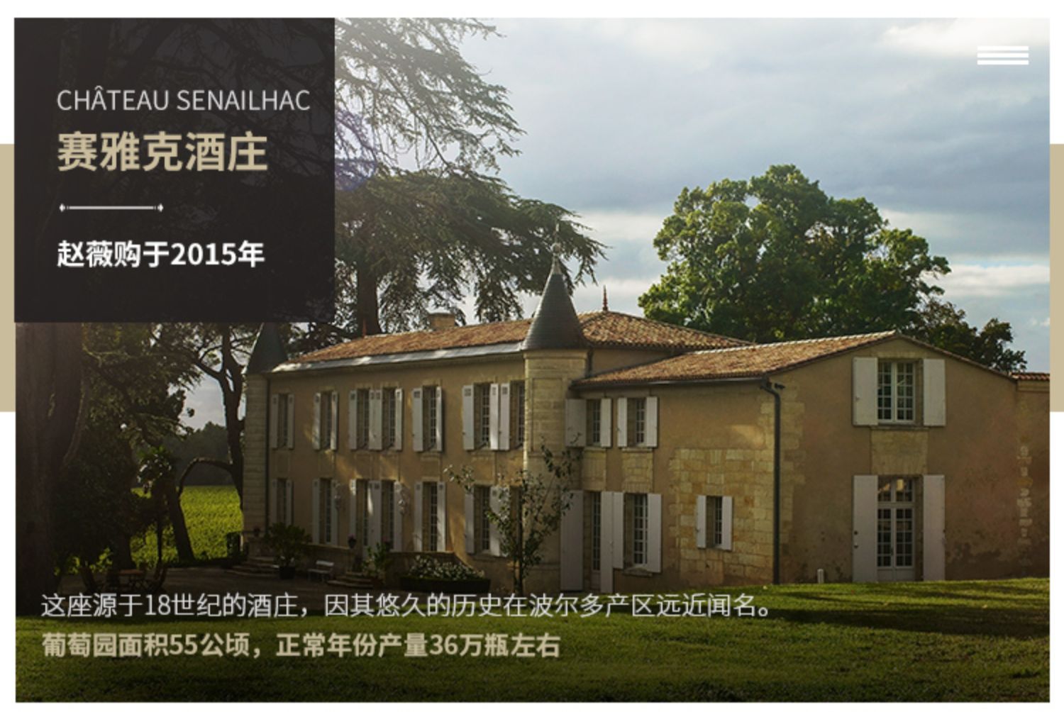 赵薇梦陇酒庄红酒原装进口法国波尔多干白葡萄