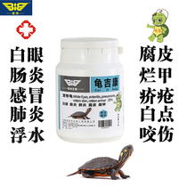 Turtle Medicine Turtle Special Medicinal Herb Turtle Basil White Eye Drug Enteritis Cold Pneumonia Floating Water Perishable Epiphyte Turtle Sick