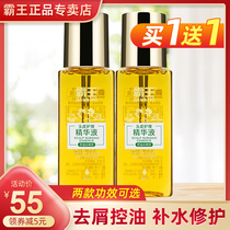 Overlord scalp care essence anti-dandruff control oil dry itchy dry hydration type two optional