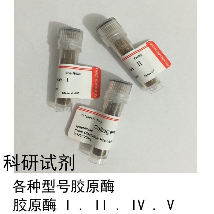 Promotion Import scientific research Invitrogen collagenase I II IV Collaenase Protein protein