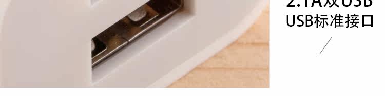 chargeur AT-J pour téléphones APPLE APPLE IPHONE5S - Ref 1291970 Image 22