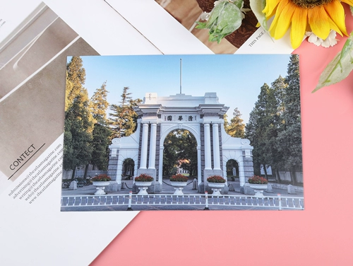 Шесть -летний магазин более 20 цветных университетов.