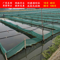 Custom-made 10 mesh 40 mesh 80 mesh cage zipper with lid Lobster loach eel leech fish breeding anti-escape cage