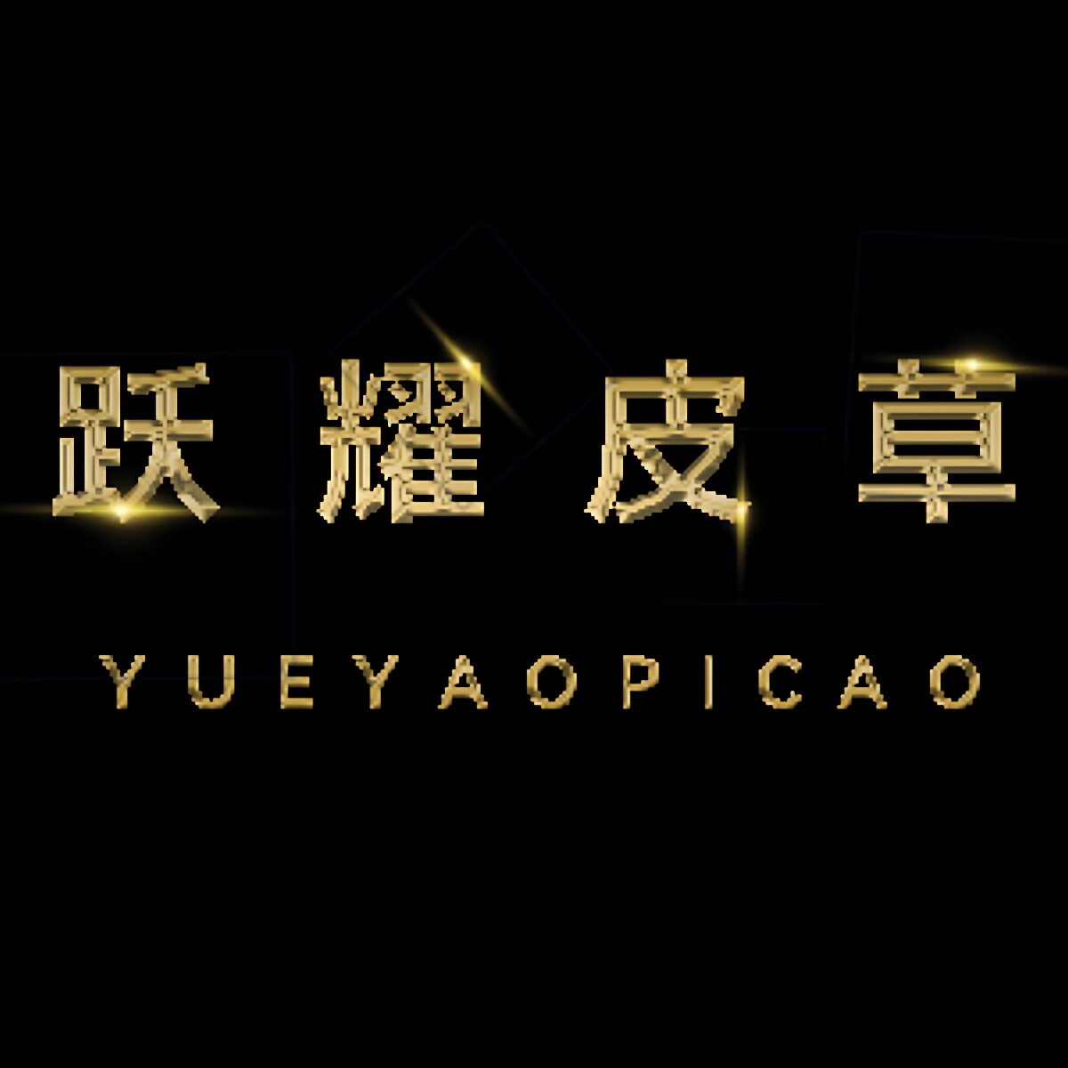 跃耀皮草服饰箱包