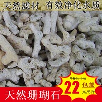 Fish tank filter material aquarium bacterial House coral sand landscape decoration natural stone coral bone water purification stable PH