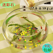 Goldfish tank glass aquarium small creative ecological round large turtle tank mini landscape hydroponic vase
