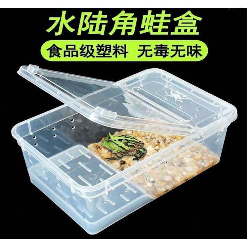 Turtle Rearing Crab Special Vat Amphibious Pet Amphibious Pet Amphibian Angle Frog Rearing Box With Sundae rearing box-Taobao