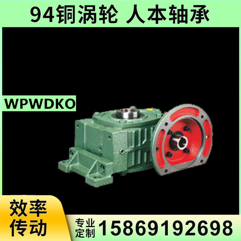 Worm gear reducer wpwdko 40 50 60 70 80 100 120 variable reducer box horizontal