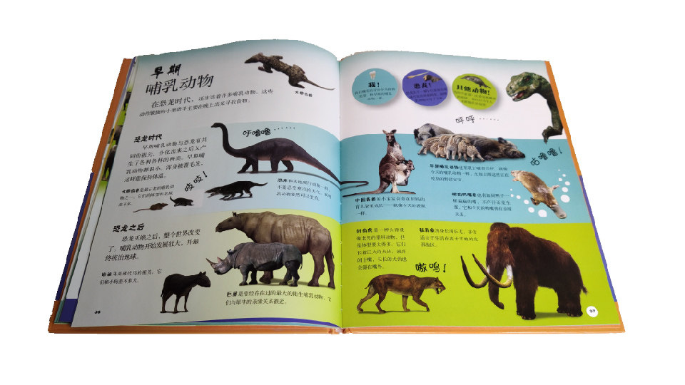 《DK少儿科普书系:恐龙与我+动物与我》 儿童百科全书2册组合套装 图9