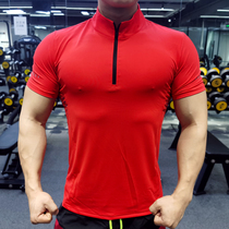 Sports short-sleeved T-shirt mens summer quick-drying breathable elastic tight-fitting training suit fitness polo shirt coach work clothes