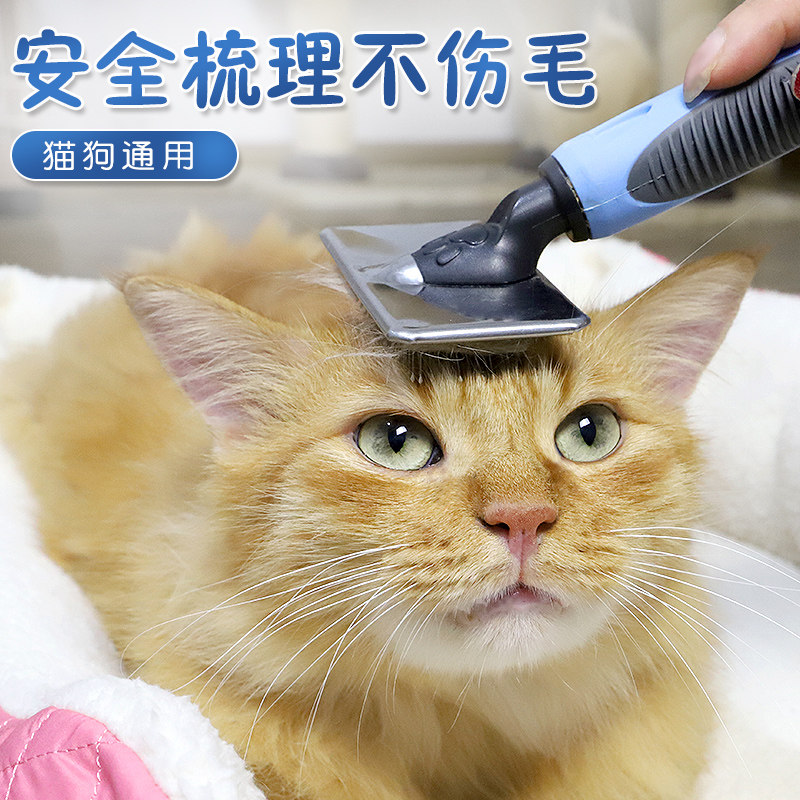 Amy Carol Pet Cat Dog Beauty head hairpin comb Comb English Short Gafe Golden Hair Teddy Massage Brush