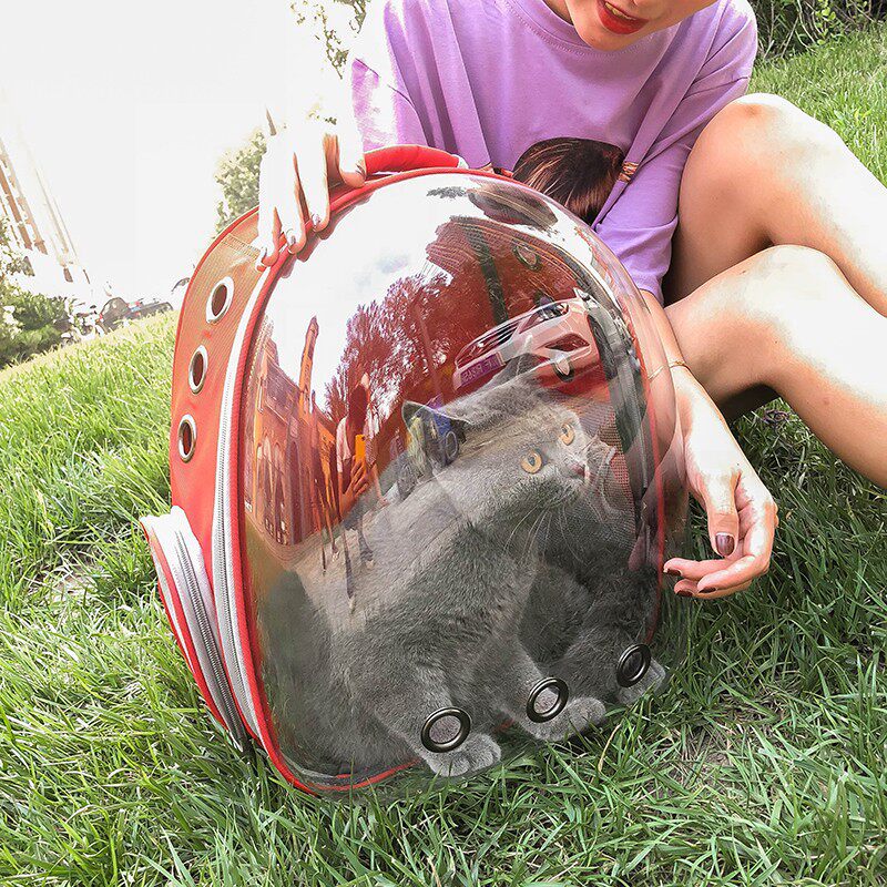 Cat Bag Space Cabin Pet Bag Breathable Kitty out-of-bag portable transparent pet Shoulder Bag Full Transparent Cat-Shoulder Bag