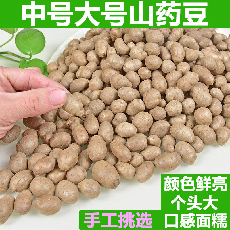 Fresh yam beans handpicked sugar hyacinth Yam Beans Big 5 catties 3 catties 1 catty of extra-large yam bean snacks-Taobao