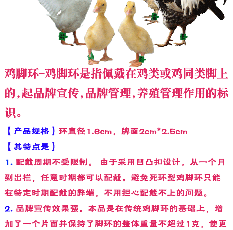 戀物星球鴨腳環 鵝腳環 激光打字定制 扣式雞 鴨 鵝編碼腳環 雞鴨鵝用腳環 15件起購 Yahoo奇摩拍賣