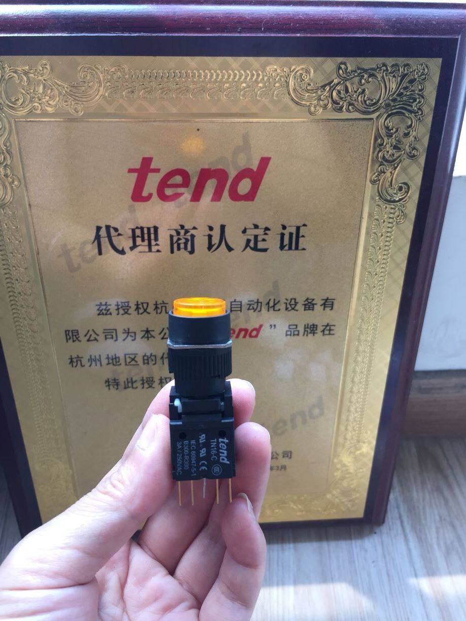 Agent's special price to offer original dress by Newswitch TN16-MLR4701