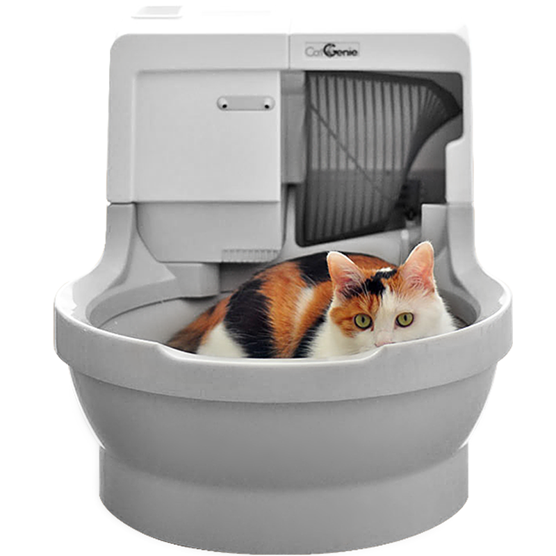 Кошачий туалет купить в москве. Catgenie туалет. Самоочищающийся лоток. Smart Sandbox туалет кошачий. Кошачий туалет самоочищающийся.