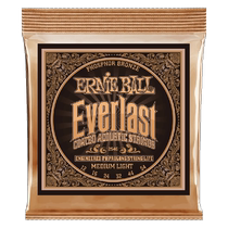 ERNIE BALL coated phosphor bronze Everlast Oshio-san 2548 ballad 2546 box wood guitar strings