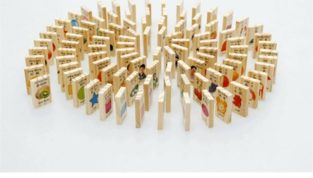 Thịt viên bằng gỗ Gỗ 100 miếng Đối tượng Mối quan hệ Domino Bính âm học Khối xây dựng Đồ chơi giáo dục cho trẻ em - Khối xây dựng đồ chơi phát triển trí tuệ