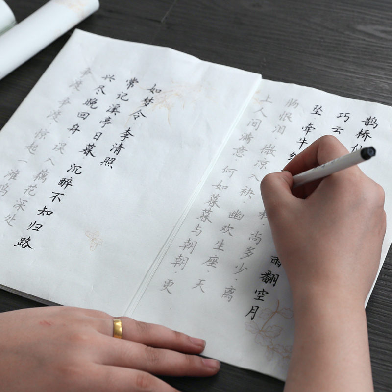 Long Books Small Block Letters of the Calligraphy Brush Calligraphy of Madame Wei Flowers Small Block Letters of Adult Calligraphy Calligraphy Starter to Sketch Red Paper Girls Beginners Scholars of Imitation Copywriting