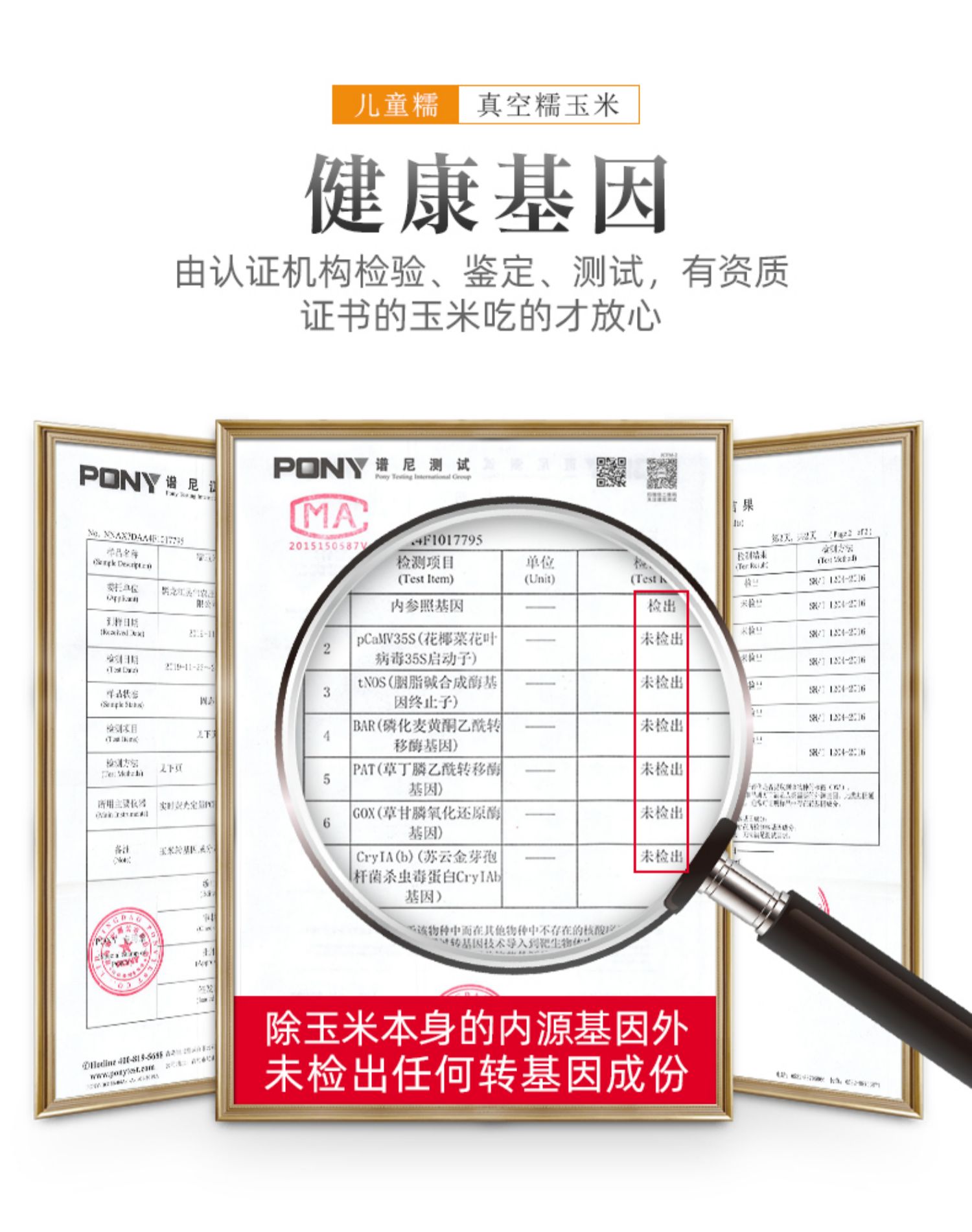 新鲜东北甜糯玉米真空袋装5支