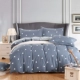 bông giá rẻ denim giường bông vải quilt 1.5m1.8 mét ins mạng đơn giản đỏ giường ba mảnh - Bộ đồ giường bốn mảnh