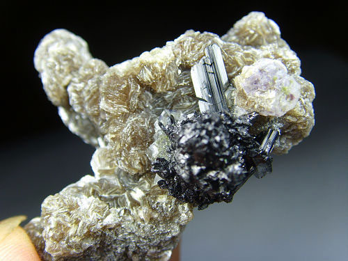 Black Tungsten Wolframite Earth Baby Collection Ornamental Chite Mineral Crystal Specimen