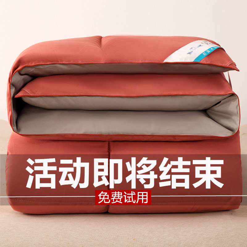 Down quilt 95 white goose down winter quilt thickened warm quilt core spring and autumn quilt single double dormitory winter duck down quilt