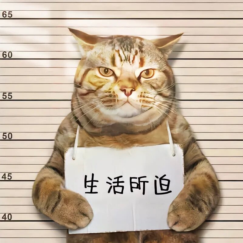666666女裤