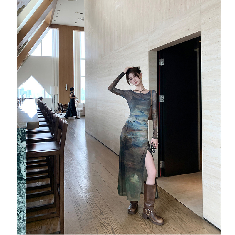 French-Style High-End Tie-Dye Mesh Long-Sleeve Dress for Women, New Spring and Autumn Style, Elegant Waist-Cinching, Slimming, Body-Hugging Long Dress