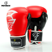 Pretorian adult boxer sets Thai boxing loose and punches for male and female fighting training professional sashbag home