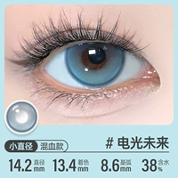 14.2 Электрическое и оптическое будущее