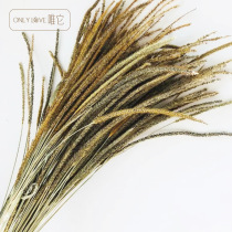 Yunnan dried flower bouquet Natural air-dried real flowers Wild unicorn grass clubhouse living room home decoration dried flowers