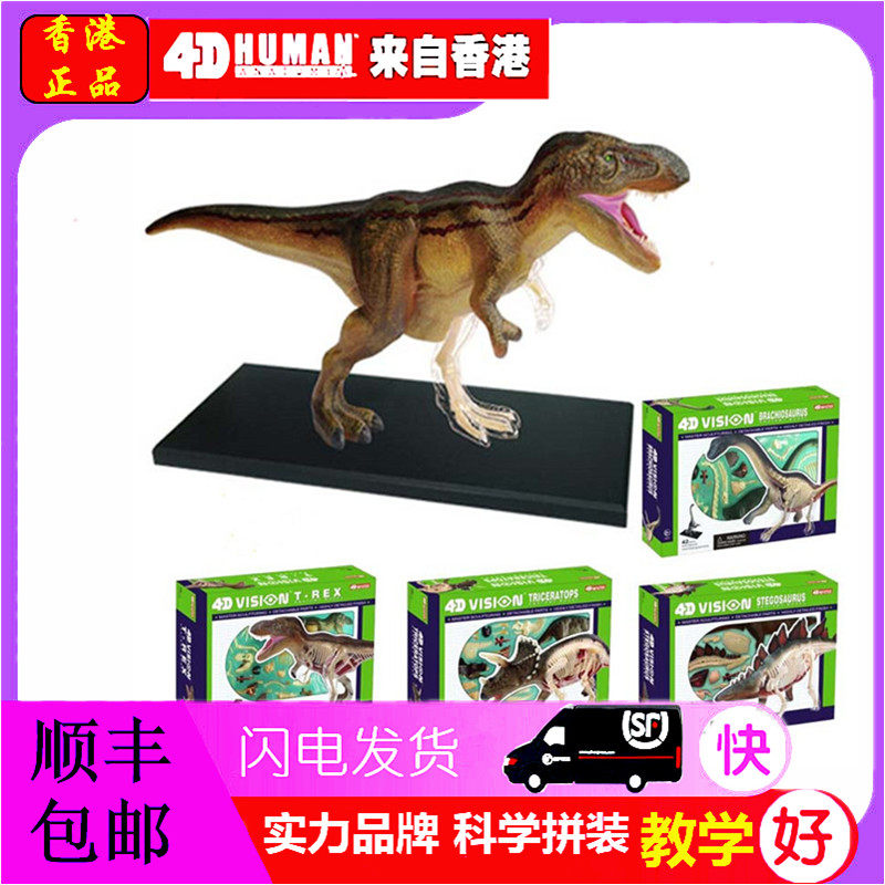 4D MASTER 益智拼装玩具动物模型仿真恐龙器官解剖医学教学