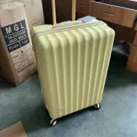 Лимонный желтый день одно путешествие с двойным закрытым интерьером ПК материал