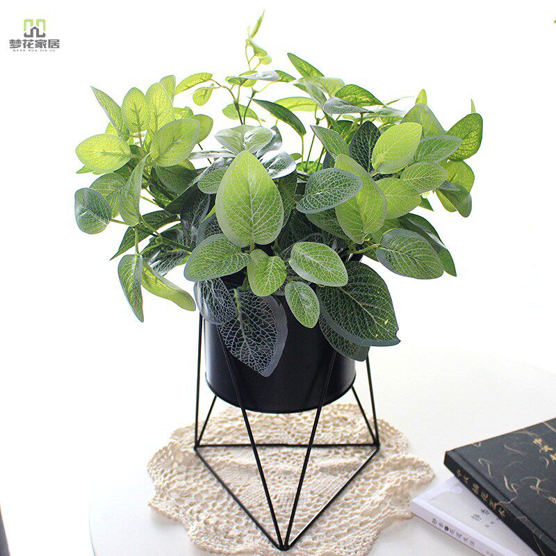 Gold Ge Small Green Planting Potted Plant Emulation Plant Plastic Fake Flowers Simulation Flower Living Room Table Swing Decoration Bonsai Photography Props