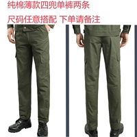 Зеленые хлопковые тонкие штаны