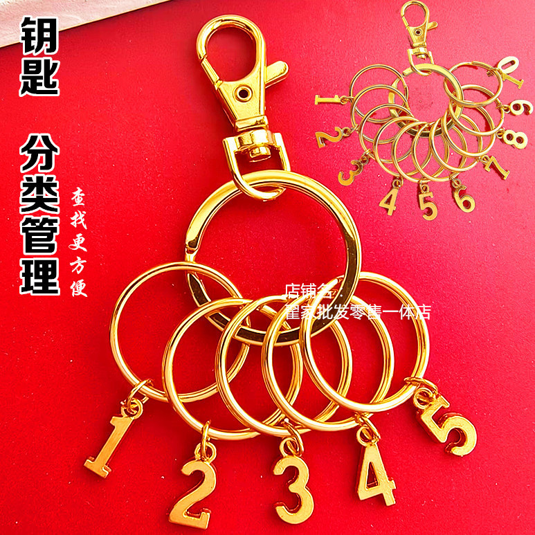 Golden Digital Key Ring with Number Labels, Large and Small Rings for Sorting and Organizing, Zinc Alloy Keychain